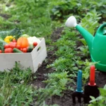 Kitchen Garden Business