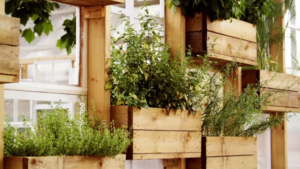 Kitchen Garden Business